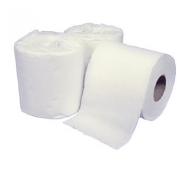 CERTO TOILET TISSUE 2PL 500 ST 96CT